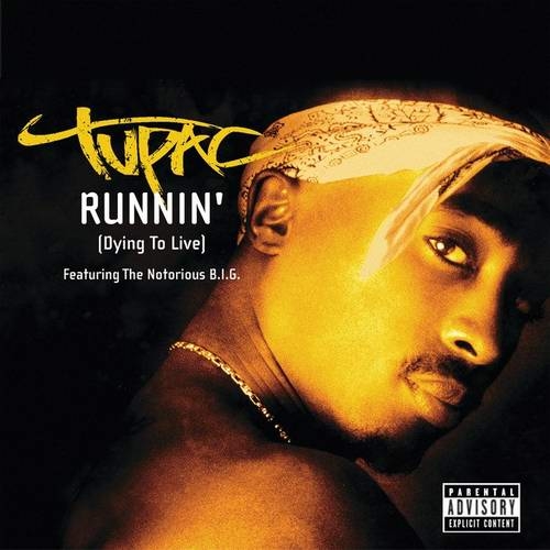 دانلود آهنگ ریمیکس Still Ballin از 2Pac   