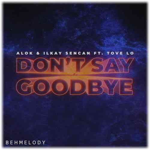 دانلود آهنگ شنیدنی Alok به نام Dont Say Goodbye   