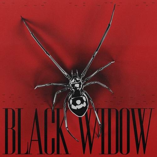 دانلود آهنگ شنیدنی BLACK WIDOW از Alok   