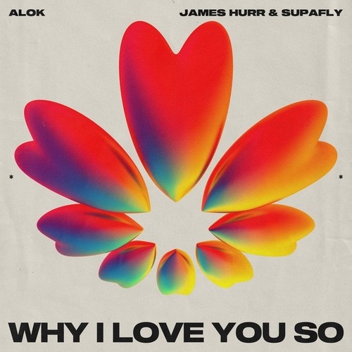 دانلود آهنگ Alok با نام Why I Love You So   