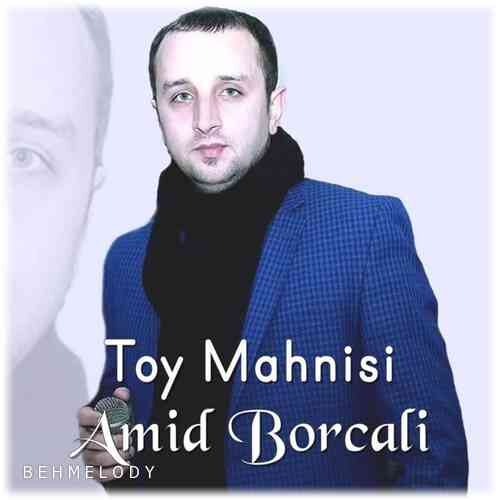 دانلود آهنگ شنیدنی Amid Borcali به نام Toy Mahnisi   