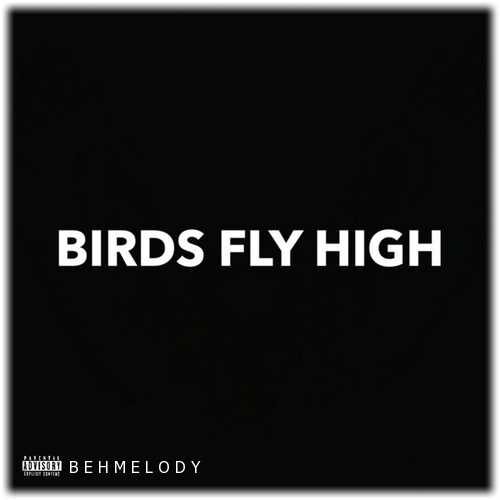دانلود آهنگ جدید 2Scratch به نام Birds Fly High   