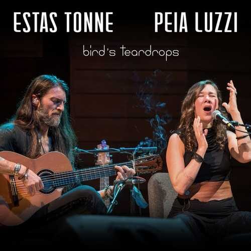 دانلود آهنگ معروف Estas Tonne به نام Birds Teardrops   