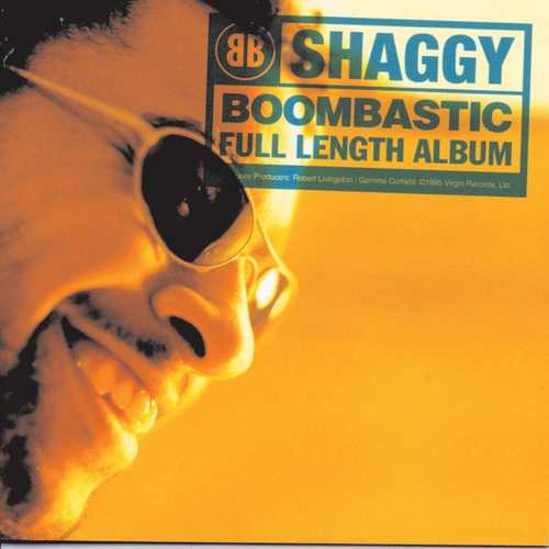 دانلود آهنگ شنیدنی Shaggy به نام Boombastic   