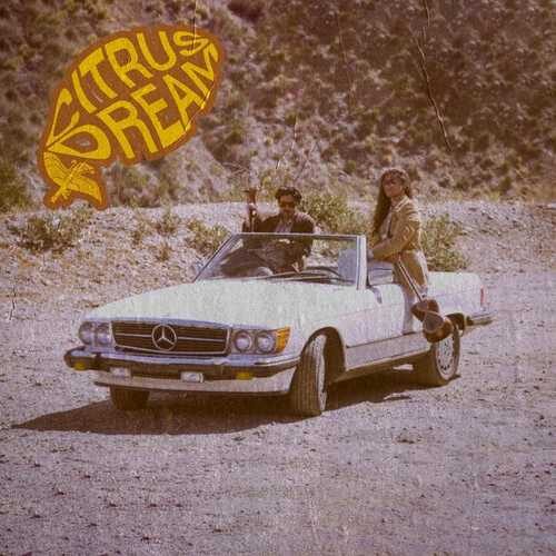 دانلود آهنگ جدید Asadi به نام CITRUS DREAM   