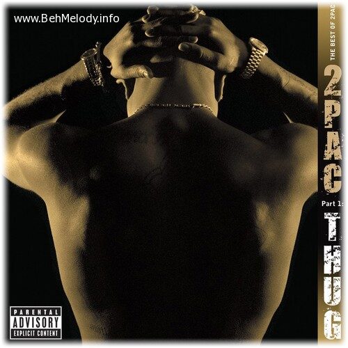دانلود آهنگ فوق العاده 2Pac به نام Changes   