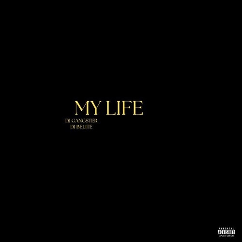 دانلود آهنگ DJ Gangster با نام My Life   