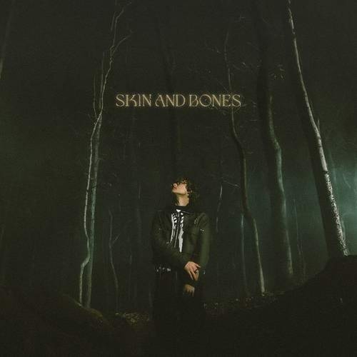 دانلود آهنگ جدید Skin and Bones از David Kushner   