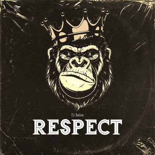 دانلود آهنگ جدید Respect از Dj Belite   