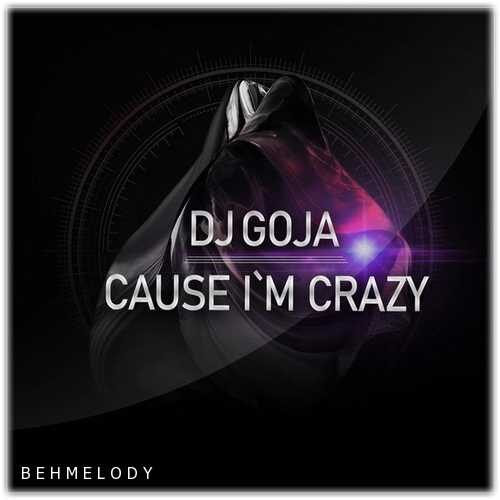 دانلود آهنگ فوق العاده Dj Goja به نام Cause Im Crazy   