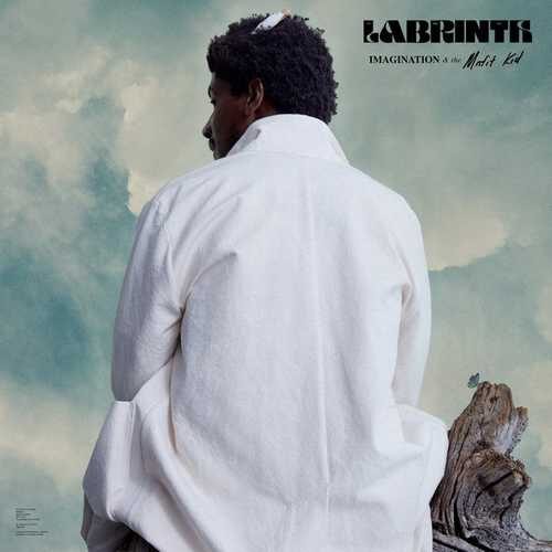 دانلود آهنگ فوق العاده Labrinth به نام Everest   