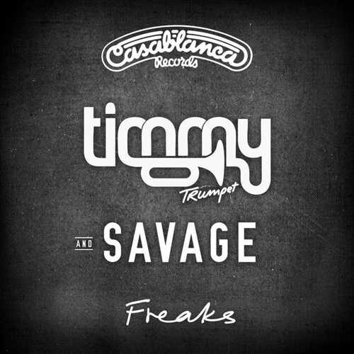 دانلود آهنگ شنیدنی Timmy Trumpet به نام Freaks   