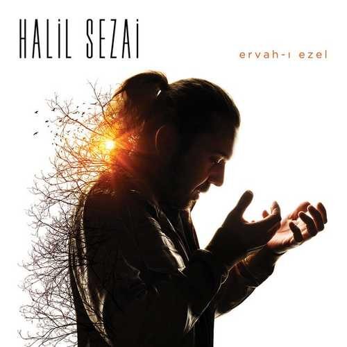 آهنگ خاطره انگیز Git با صدای Sezan Aksu و Halil Sezai   