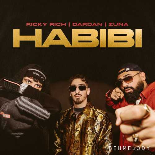دانلود آهنگ جدید Ricky Rich به نام Habibi   