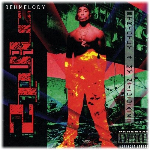 دانلود آهنگ شنیدنی 2Pac به نام Holler If Ya Hear Me   