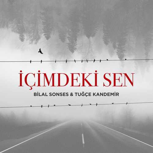 دانلود آهنگ ریمیکس Bilal Sonses به نام İçimdeki Sen   