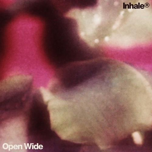 دانلود آهنگ Inhaler با نام Open Wide   