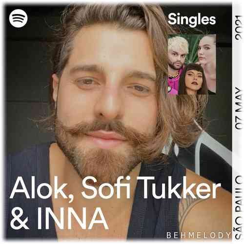 دانلود آهنگ شنیدنی Alok به نام It Don’t Matter   
