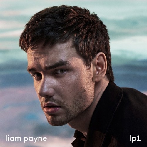 دانلود آهنگ Liam Payne ft Quavo با نام Strip That Down   
