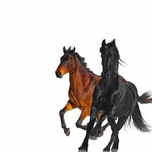 دانلود آهنگ جدید Lil Nas X به نام Old Town Road   