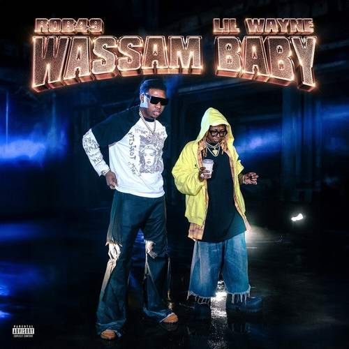 دانلود آهنگ جدید Wassam Baby (with Lil Wayne) از Lil Wayne   
