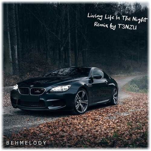دانلود آهنگ سیستمی T3nzu به نام Living Life In The Night   