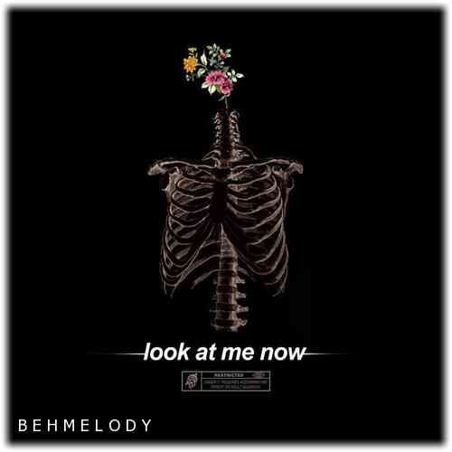 دانلود آهنگ شنیدنی Brennan Savage به نام Look At Me Now   