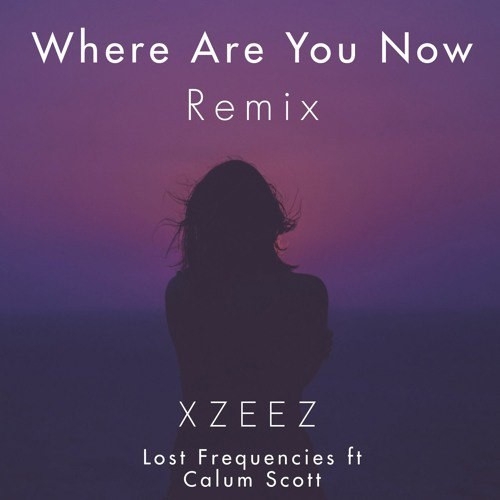 دانلود آهنگ Lost Frequencies ft Calum Scott با نام Where Are You Now (XZEEZ Remix)   