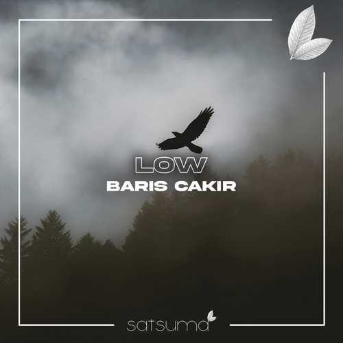 دانلود آهنگ شنیدنی Barış Çakır به نام Low   