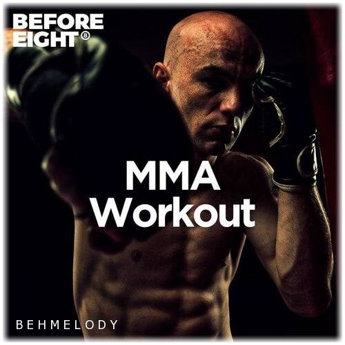 دانلود پلی لیست Mma Workout 2020   