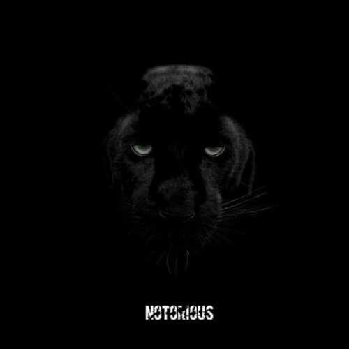 دانلود آهنگ جدید Maga به نام Notorious   