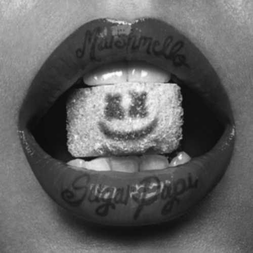 دانلود آهنگ جدید Alcohol از Marshmello   