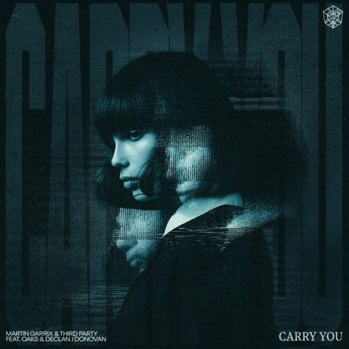 دانلود آهنگ جدید Carry You از Martin Garrix   
