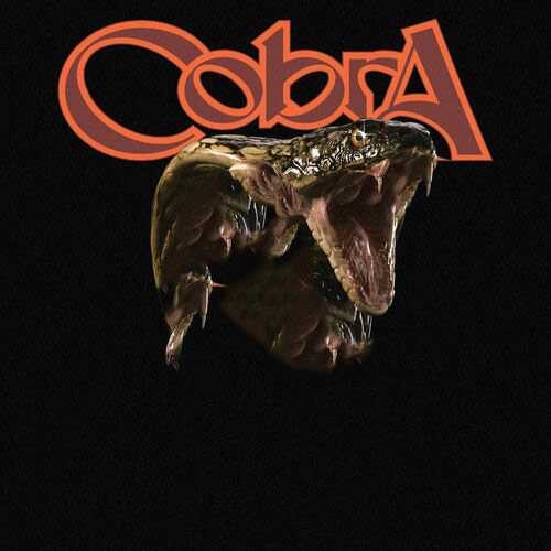 دانلود آهنگ جدید Cobra از Megan Thee Stallion   