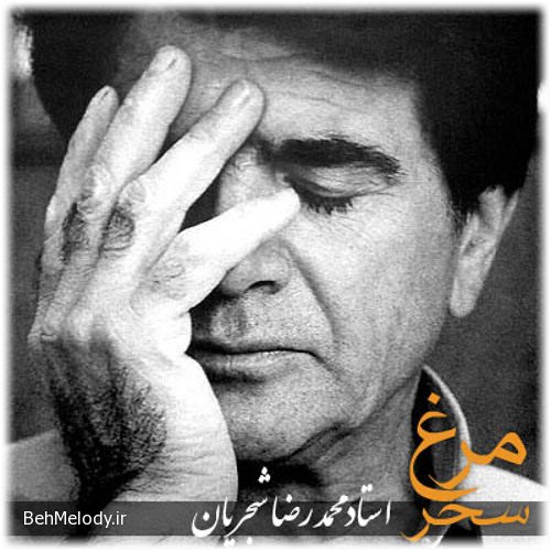 دانلود آهنگ محمدرضا شجریان به نام مرغ سحر   