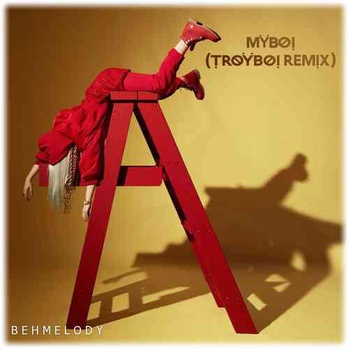 دانلود آهنگ ریمیکس TroyBoi به نام MyBoi   