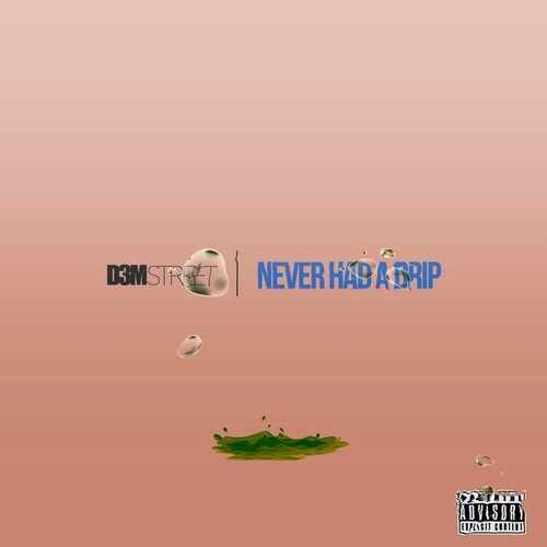 دانلود آهنگ زیبای D3Mstreet به نام Never Had a Drip   