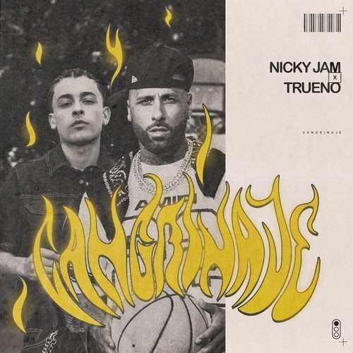 دانلود آهنگ شنیدنی Nicky Jam با نام Cangrinaje   