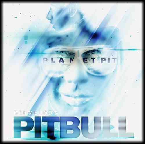 دانلود آهنگ Pitbull به نام Give Me Everything   