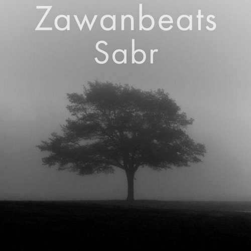 دانلود آهنگ جدید از Zawanbeats به نام Sabr   