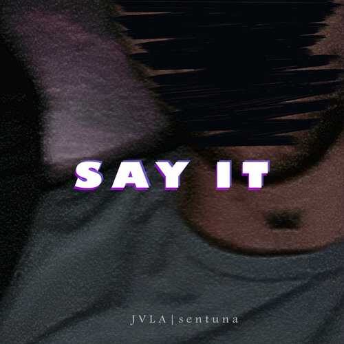 دانلود آهنگ جدید Jvla به نام Say It   