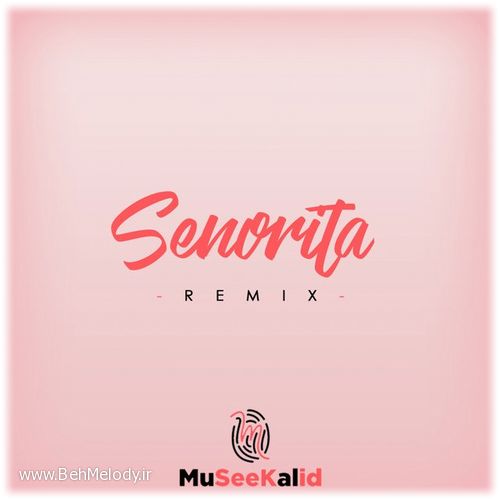 دانلود آهنگ ریمیکس Shawn Mendes به نام Senorita  Remix   