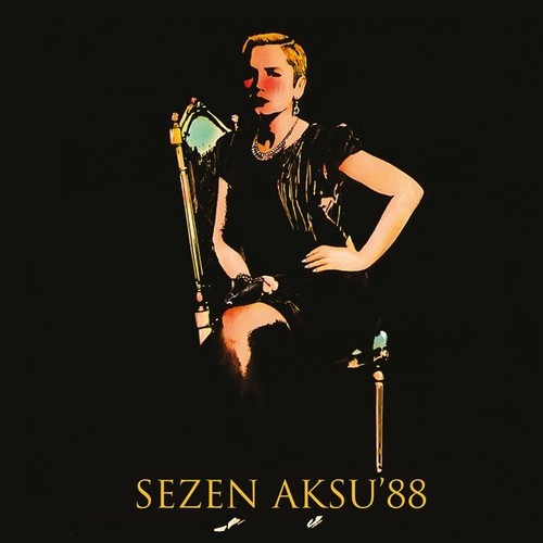 دانلود آهنگ Sezen Aksu با نام Bir Çocuk Sevdim   