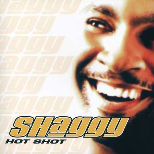 دانلود آهنگ قدیمی Angel از Shaggy   