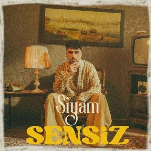 دانلود آهنگ شنیدنی Siyam با نام Sensiz   