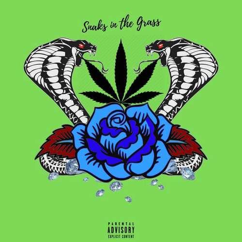 دانلود آهنگ جدید Hwa Sa به نام Snakes in the Grass   