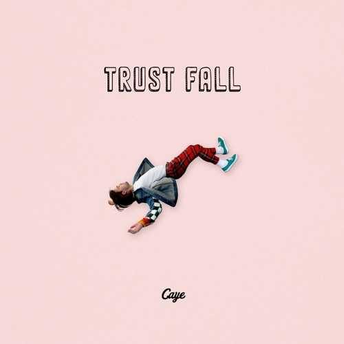 دانلود آهنگ شنیدنی P!nk به نام TRUSTFALL   