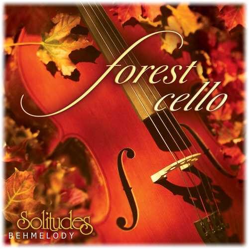دانلود آهنگ زیبای Dan Gibson به نام The Fallen Leaves   