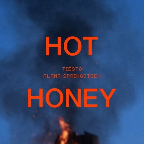 دانلود آهنگ Tiësto با نام Hot Honey   