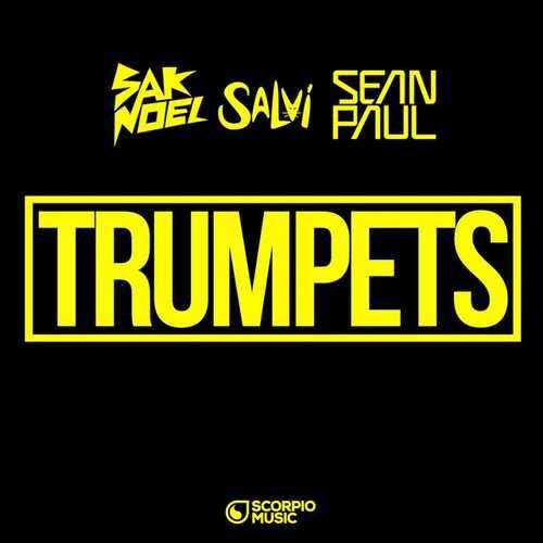 دانلود آهنگ جدید Sean Paul به نام Trumpets  Extended Mix   
